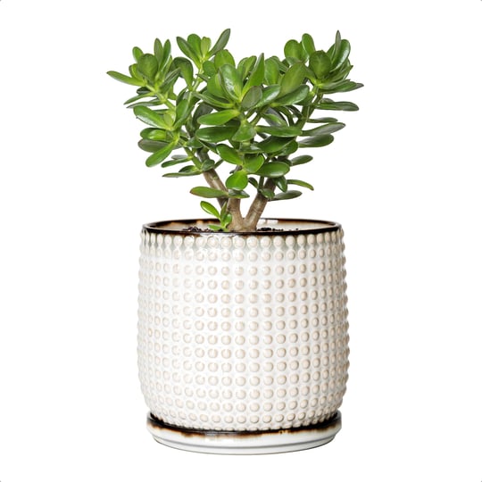 dvine-dev-5-inch-ceramic-beaded-stoneware-planter-pot-flower-pot-with-drainage-holes-and-saucers-for-1