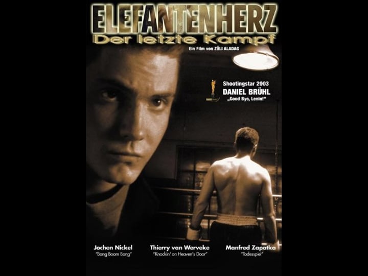elefantenherz-1733170-1