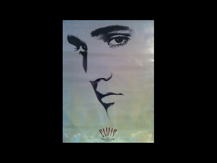 elvis-the-tribute-tt0297874-1