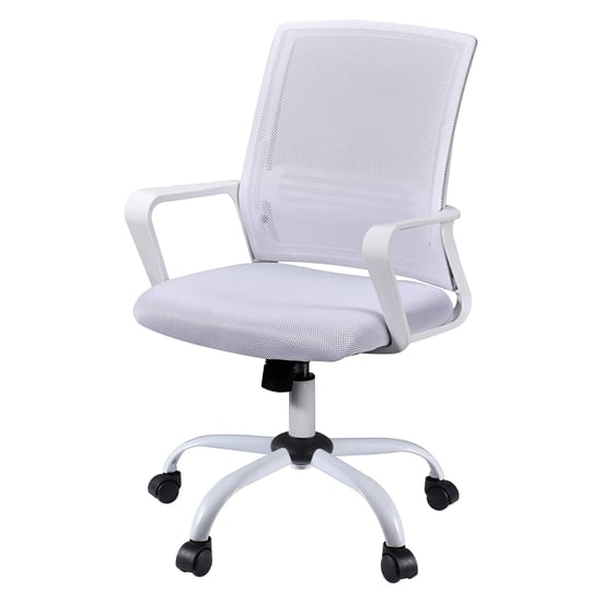 ergonomic-home-office-desk-chairs-mesh-chair-with-lumbar-back-support-armrest-height-adjustable-exec-1