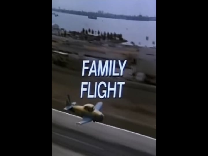 family-flight-4378269-1