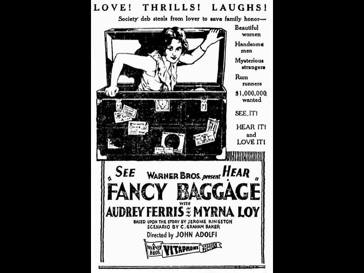 fancy-baggage-1497545-1