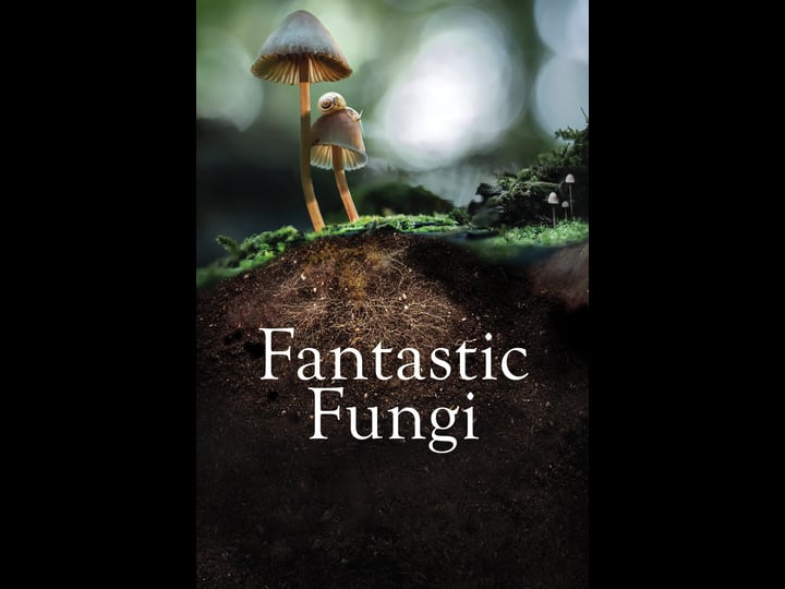 fantastic-fungi-tt8258074-1