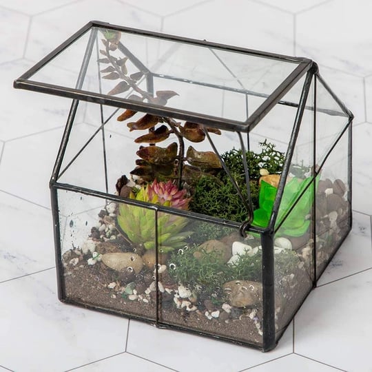 ferrisland-glass-plant-terrarium-container-wardian-case-indoor-small-succulent-terrarium-planter-w-d-1