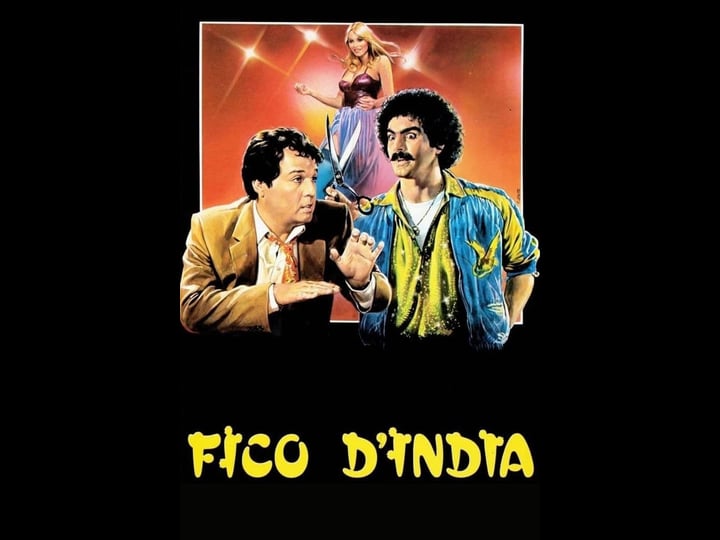 fico-dindia-4549816-1