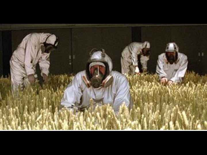 fields-of-gold-tt0326870-1