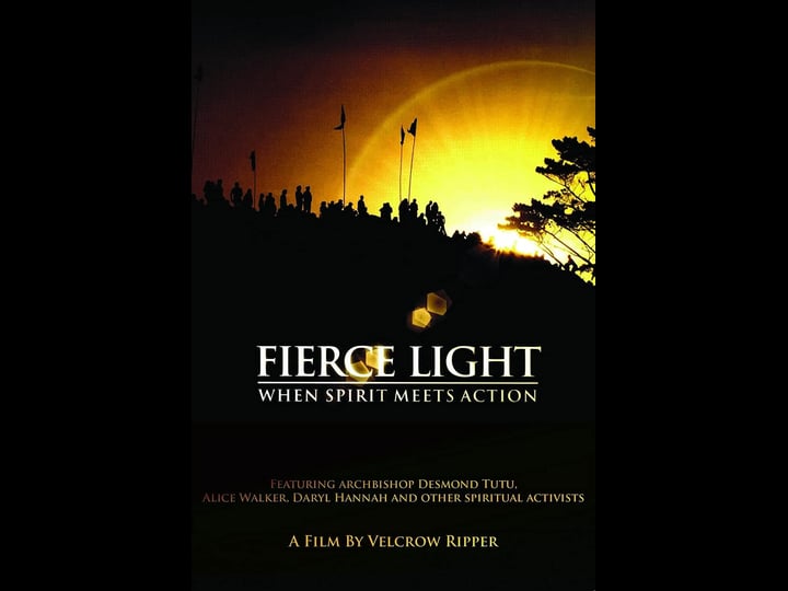 fierce-light-when-spirit-meets-action-772996-1
