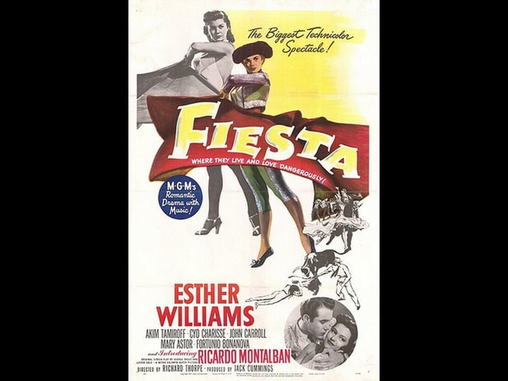 fiesta-4484356-1