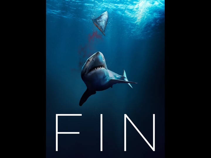 fin-4273325-1