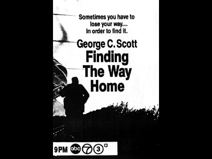 finding-the-way-home-tt0101878-1