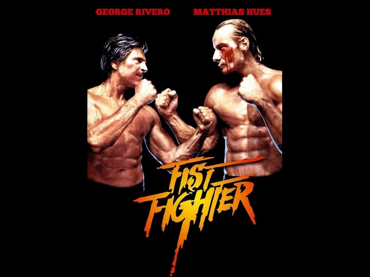 fist-fighter-4374081-1
