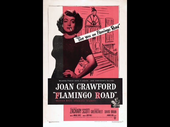 flamingo-road-tt0041373-1