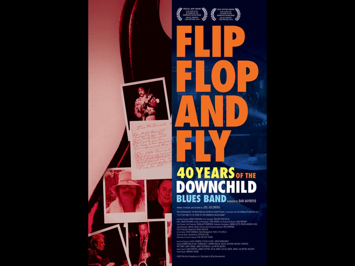 flip-flop-and-fly-40-years-of-the-downchild-blues-band-tt1815703-1