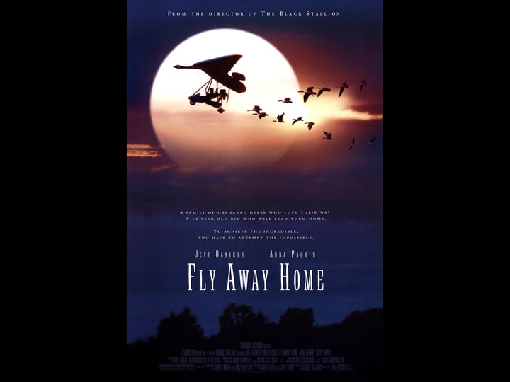 fly-away-home-tt0116329-1