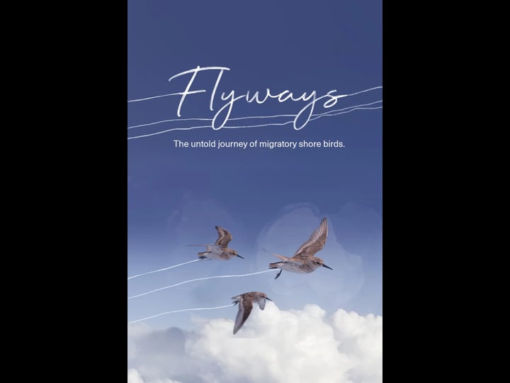 flyways-the-untold-journey-of-migratory-shorebirds-4500319-1