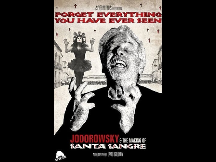 forget-everything-you-have-ever-seen-the-world-of-santa-sangre-tt2752644-1
