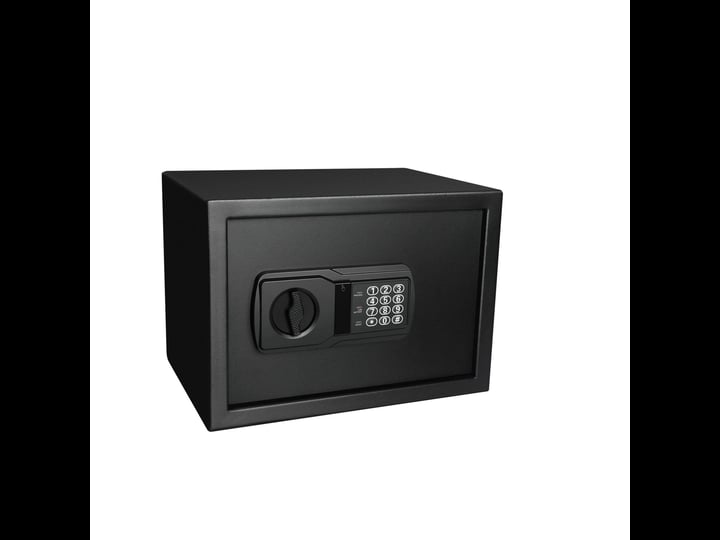 fortress-personal-safe-with-electronic-lock-1