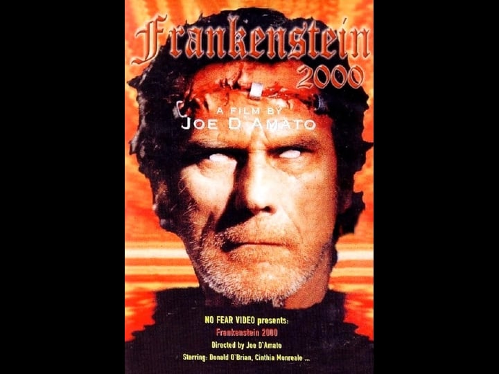 frankenstein-2000-4499571-1