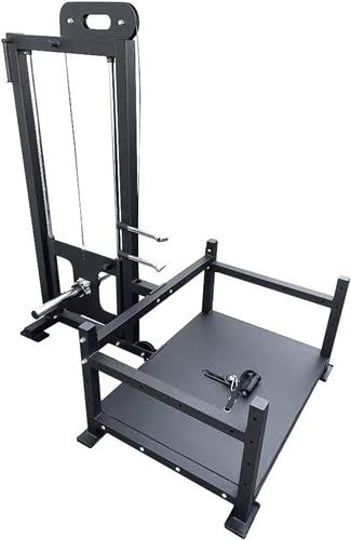 french-fitness-p-l-belt-squat-training-platform-new-1