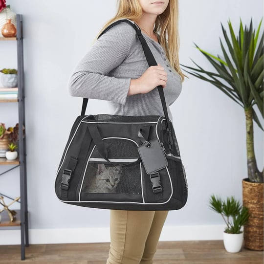 frisco-basic-dog-cat-carrier-bag-black-small-medium-gray-trim-1