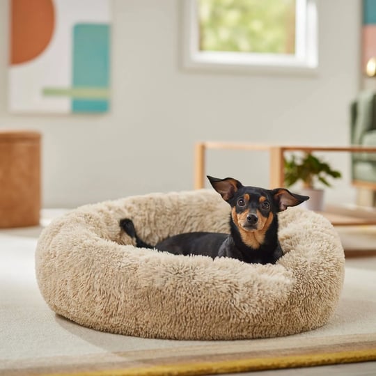 frisco-eyelash-cat-dog-bolster-bed-sand-medium-1