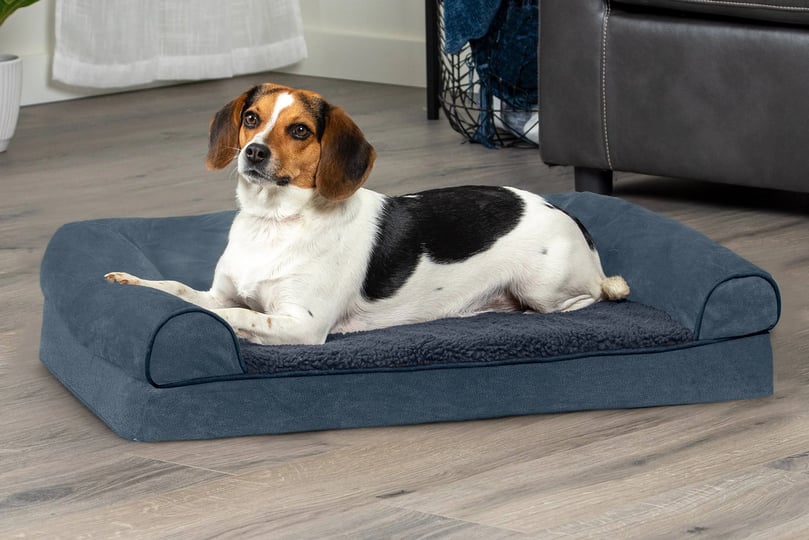 furhaven-faux-fleece-chenille-memory-foam-sofa-dog-bed-jumbo-cream-1