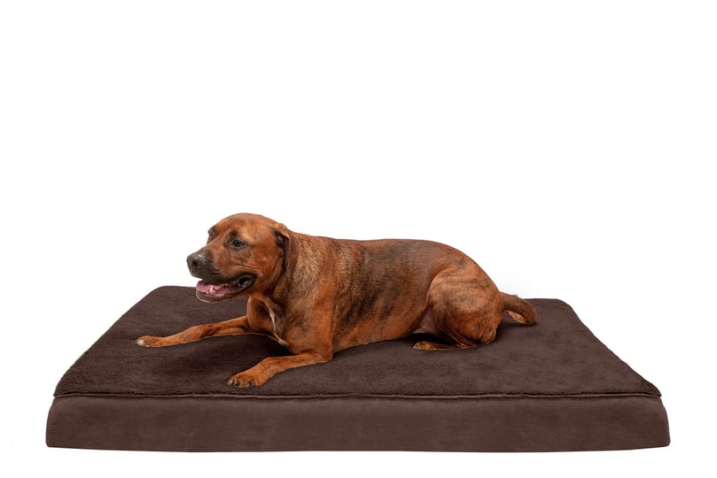 furhaven-terry-suede-deluxe-cooling-gel-top-pet-bed-espresso-jumbo-1