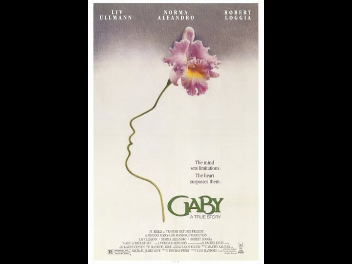 gaby-a-true-story-4311755-1