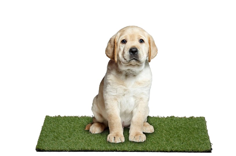 garland-puppy-pee-pad-18-in-x-30-in-easy-clean-with-drainage-holes-non-toxic-realistic-artificial-gr-1
