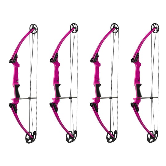 genesis-archery-compound-bow-adjustable-sizing-for-right-handed-purple-4-pack-1