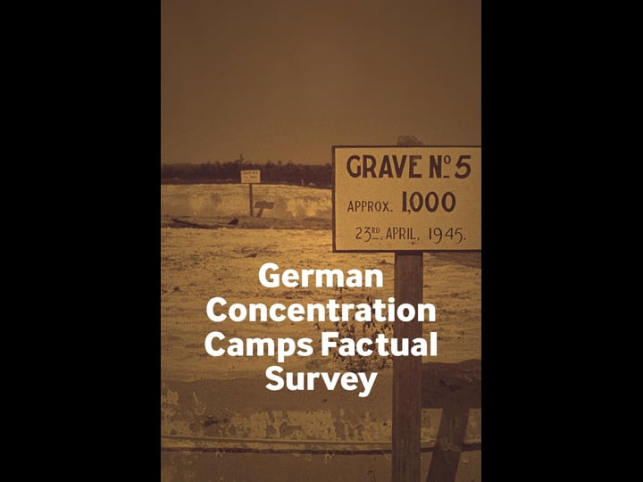 german-concentration-camps-factual-survey-tt3455796-1