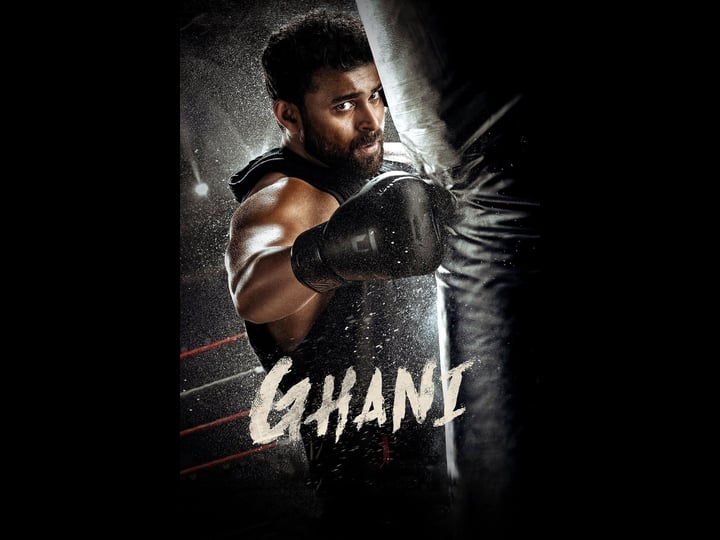 ghani-4447843-1