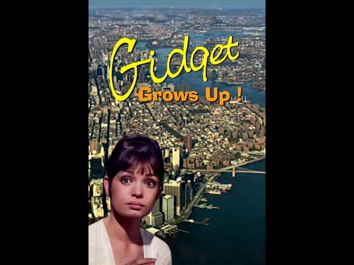 gidget-grows-up-tt0065778-1