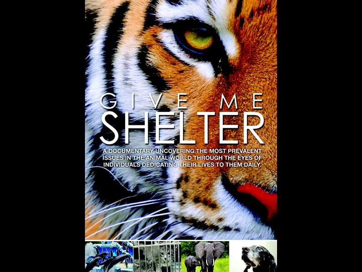 give-me-shelter-1339765-1