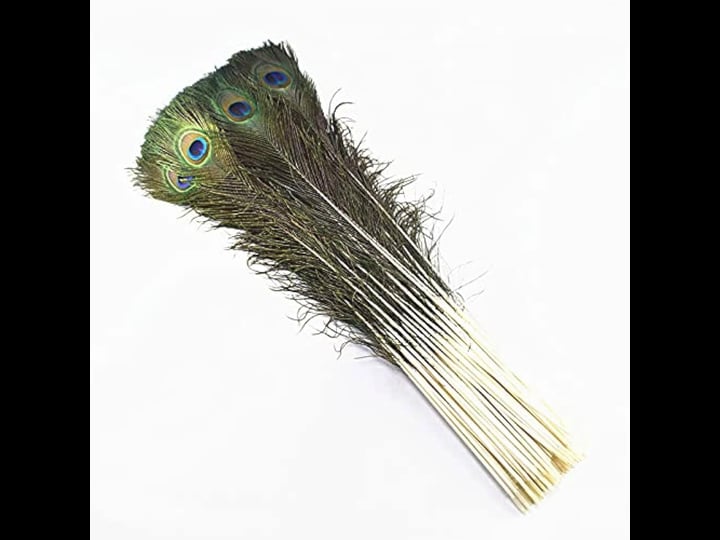 great-choice-products-10pcs-long-natural-peacock-feathers-20-24-for-tall-vases-home-decorations-chri-1