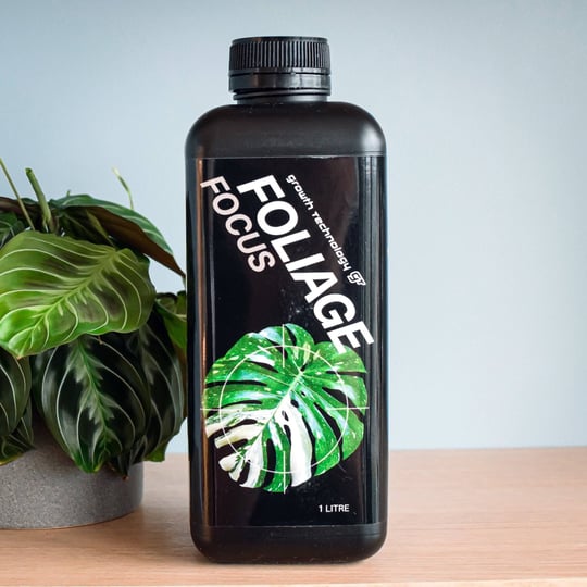 gt-growth-technology-foliage-focus-houseplant-food-nutrient-fertilizer-concentrate-for-aroids-and-tr-1