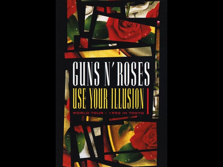 guns-n-roses-use-your-illusion-i-tt0306925-1