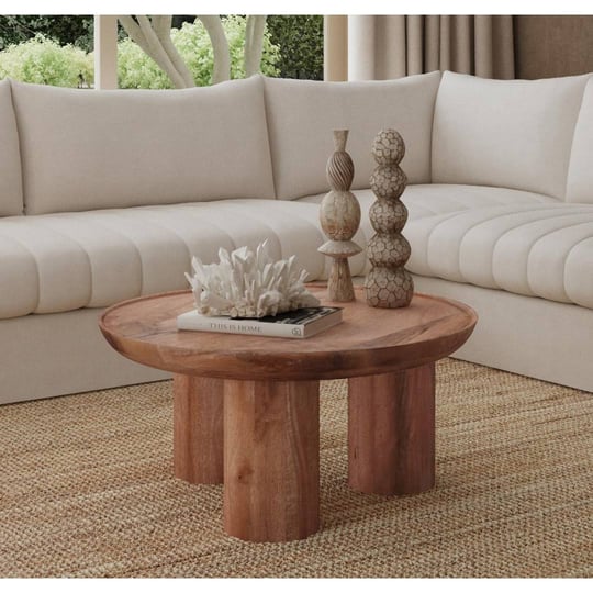 hailie-premium-material-coffee-table-birch-lane-1