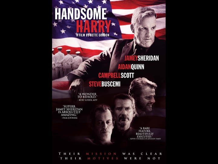 handsome-harry-tt1318001-1