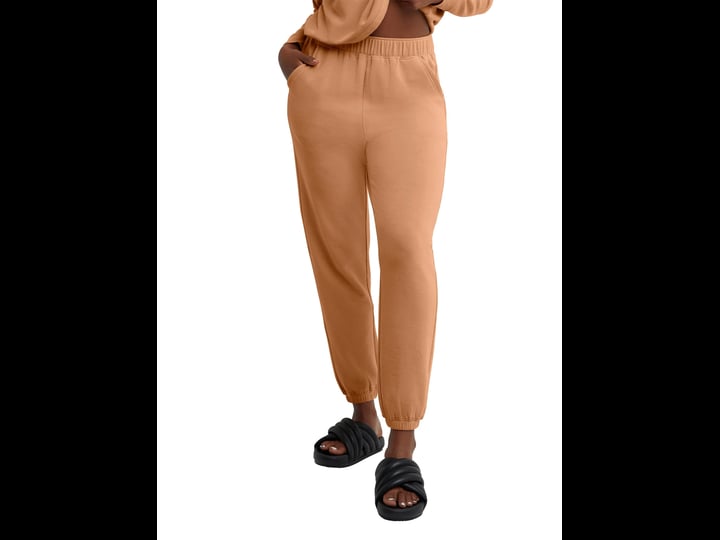 hanes-womens-cozy-fleece-pants-size-xs-brown-1