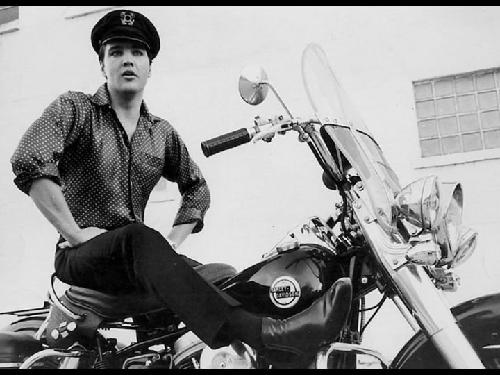 harley-davidson-the-american-motorcycle-tt0277727-1