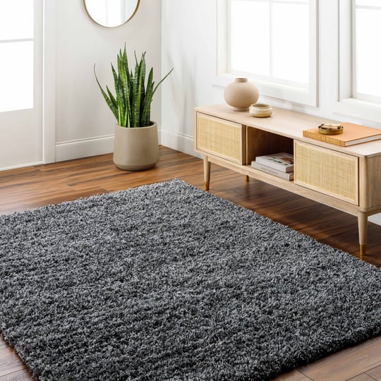 hauteloom-bluma-solid-black-plush-rug-modern-area-rug-for-living-room-bedroom-53-x-7-rectangle-1
