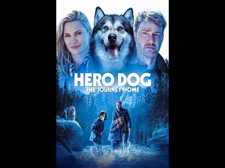 hero-dog-the-journey-home-4444322-1