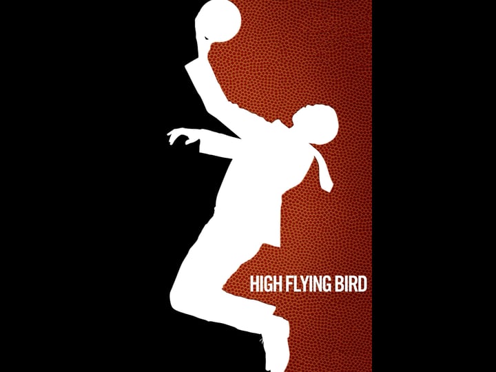 high-flying-bird-tt8128188-1