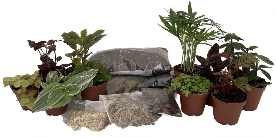 hirts-terrarium-kit-with-10-terrarium-plants-in-2-pots-1