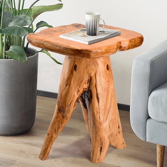 hoegmst-mushroom-side-table-18-9-inch-tall-live-edge-wood-stool-freeform-natural-plant-stand-for-gar-1