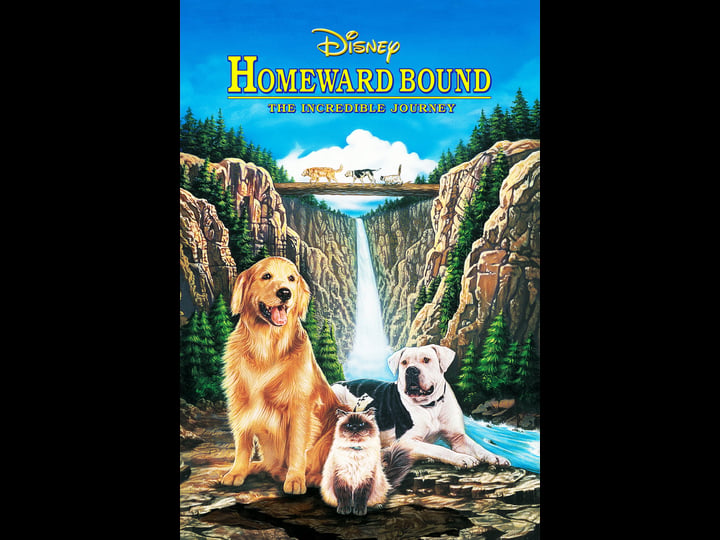homeward-bound-the-incredible-journey-tt0107131-1