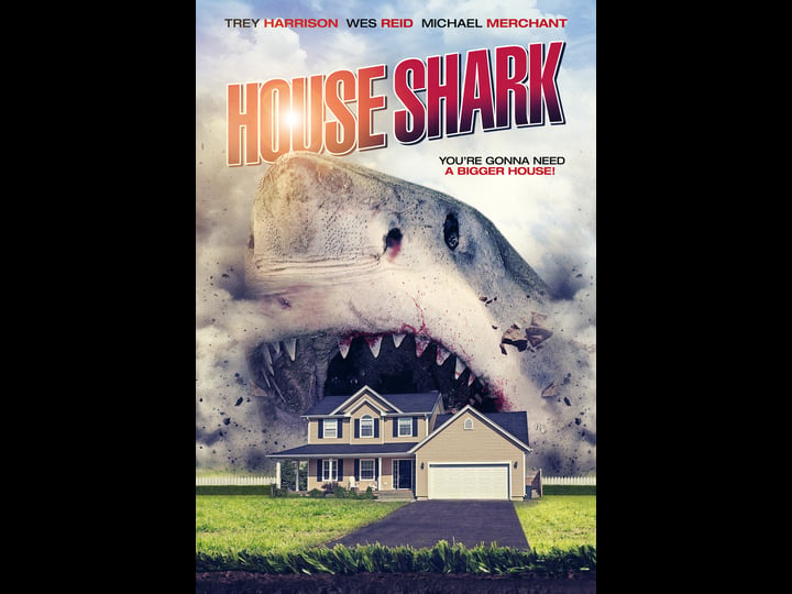 house-shark-tt8387464-1