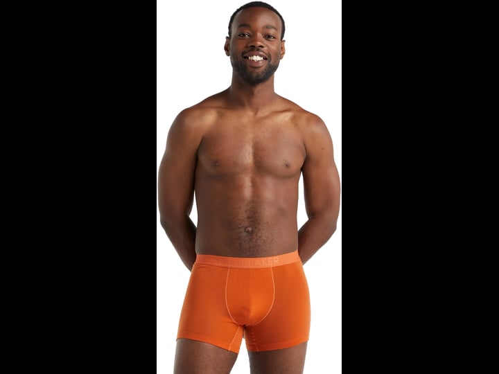 icebreaker-anatomica-cool-lite-boxer-mens-earth-m-1