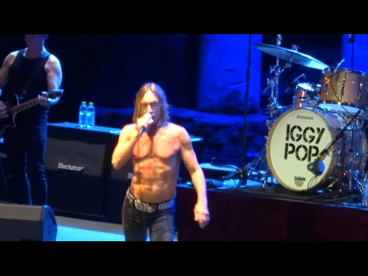 iggy-pop-les-nuits-de-fourvi-re-17-07-2015-tt5291940-1
